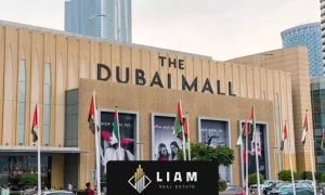 The Duba Mallدبی مال