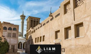 منطقه تاریخی الفهیدی 2