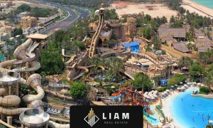 پارک آبی وایلد وادی (Wild Wadi Waterpark)