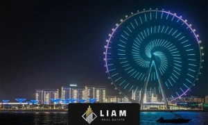 چشم دبی (Ain Dubai)