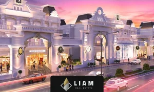 شرکت سازنده املاک وینسیتور