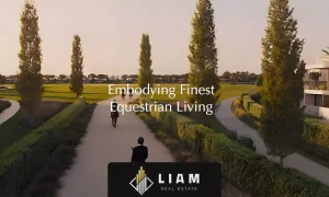 اکوئسترا/اکوئیترا (3.7M AED) در گرند پولو اعمار | املاک لیام